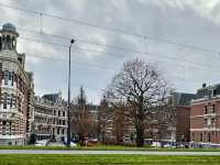 Tree Meets Culture🌳,