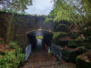 Autumn brings a quiet elegance to RHS Garden Rosemoor. 🍂🍁🌳