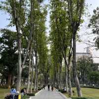 打卡廣州人民公園