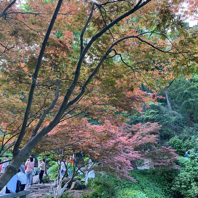 風水寶地 嶽麓山