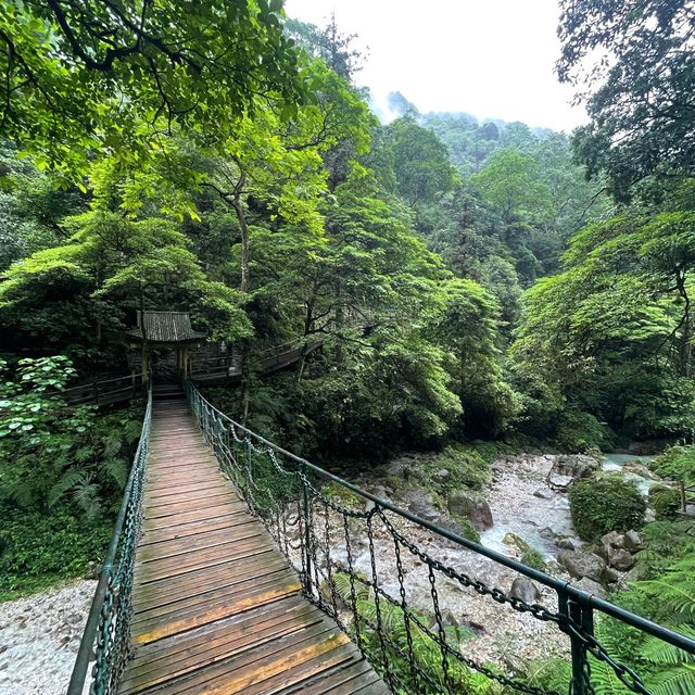 Emeishan Hiking Paradise