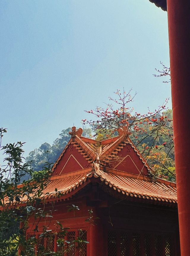 Tin Hau Temple 🎋🎋🎋