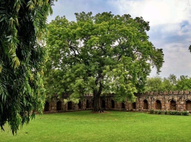 A Serene Oasis in the Heart of Delhi 🇮🇳