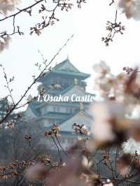 A Solo Traveller‘s Guide to Osaka