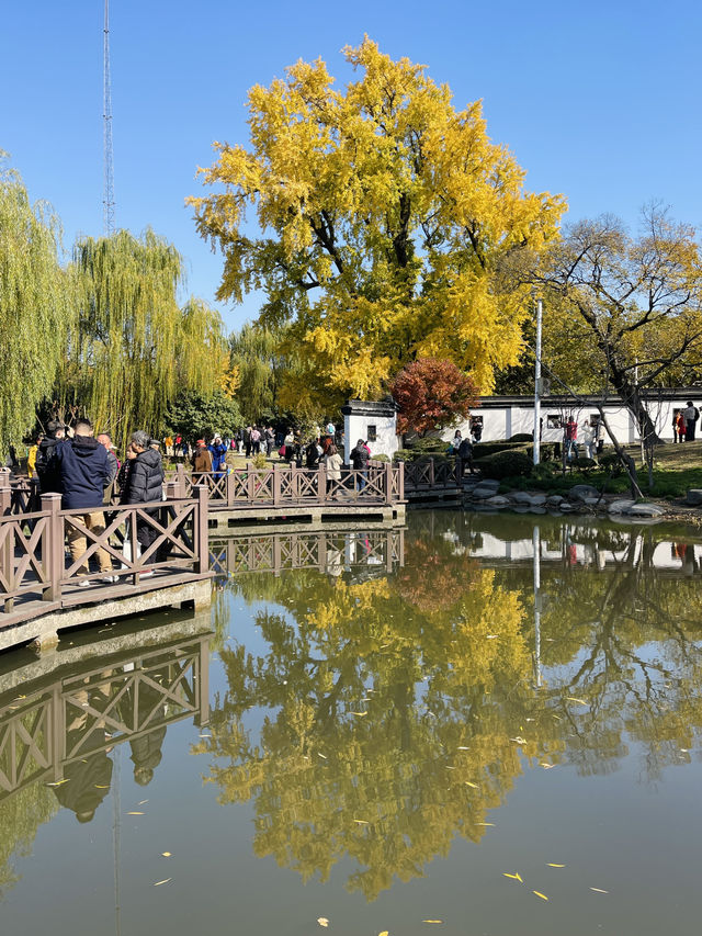 走進千年古樹公園