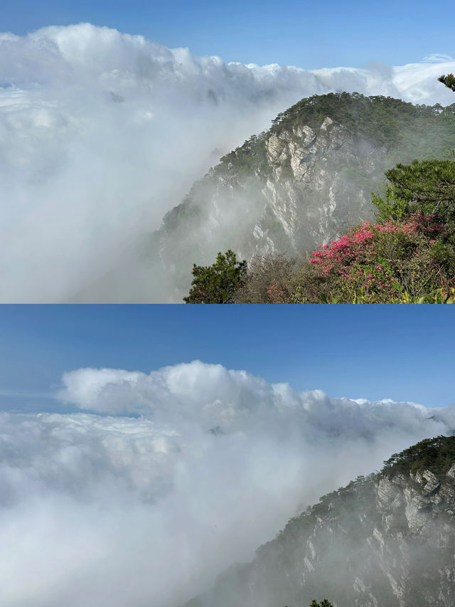 已經為大家做好十一去廬山的攻略啦