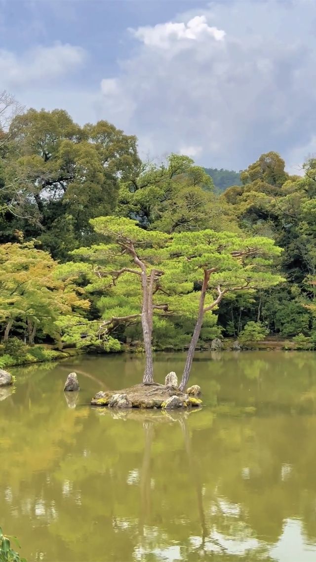 一休哥在金閣寺修行過