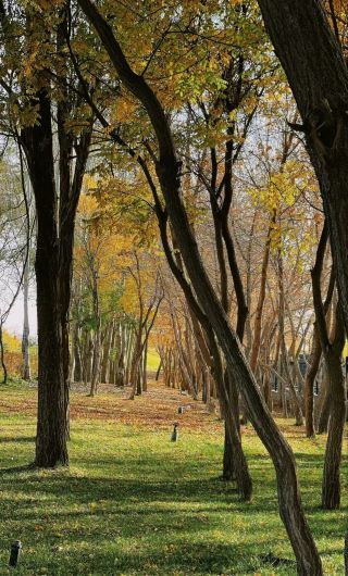 백은금령공원-가을을 만나다
