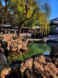 Famous Chinese Botanic Garden! 🌳🪨🐲