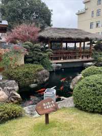 民宿居然給我提供了情緒價值