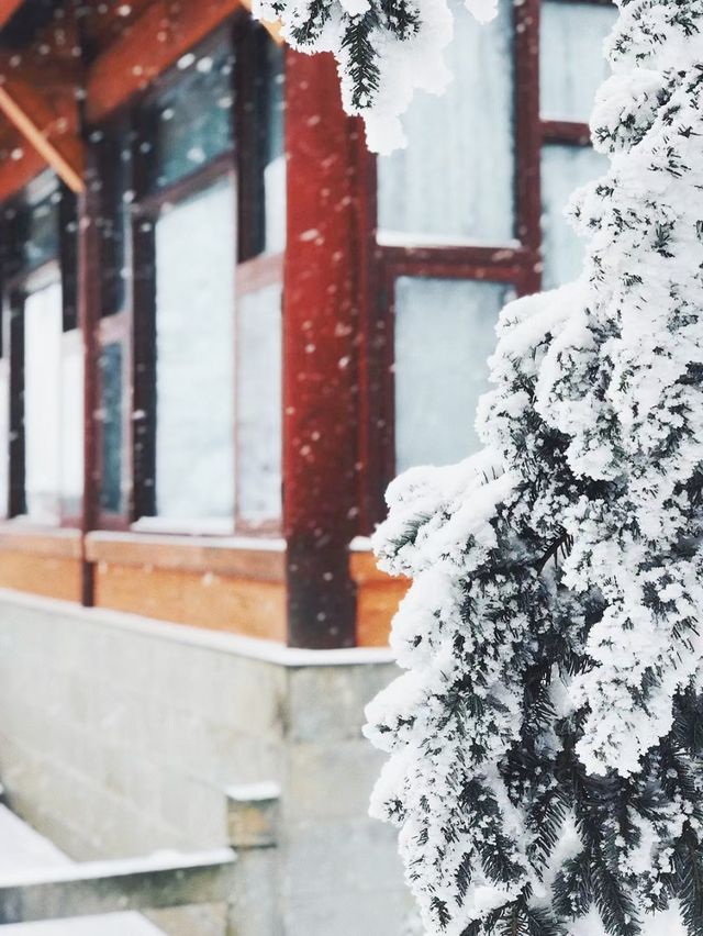 這個冬天總要去一次峨眉山看雪景吧