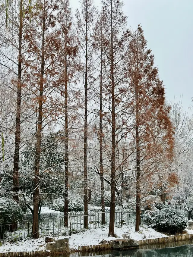 あなたはこのような济南であることがわかりました｜下雪文学