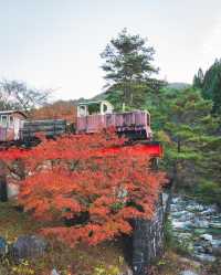 【驚艷岐阜】探秘龍神瀑布、合掌村和夕森溪谷！享受岐阜之旅！