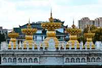 上海東林寺攻略