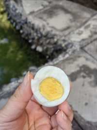 雲南騰沖熱海丨徐霞客到此一遊，熱海大滾鍋煮雞蛋，姐妹泉