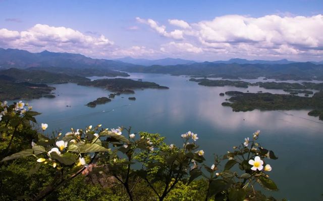 花亭湖景區