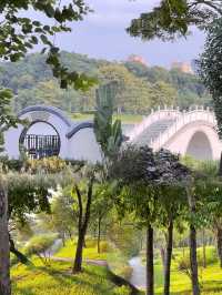 發現一個露營休閒的寶藏公園丨白雲湖公園