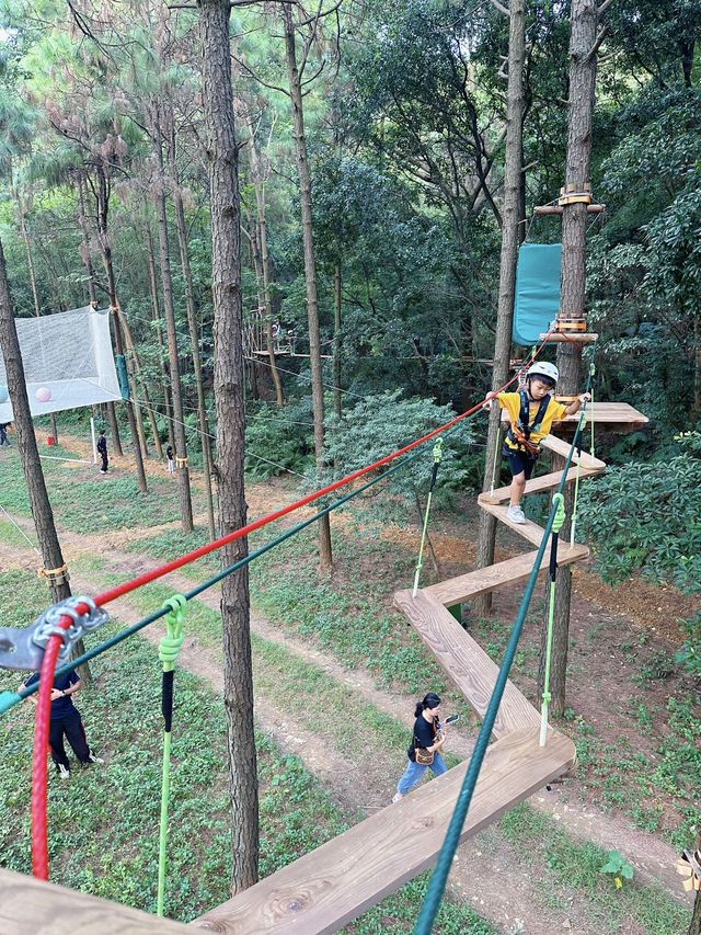 中秋國慶去哪兒來西樵山就對了