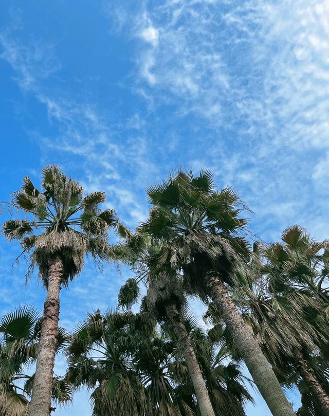 越靠近自然，就越靠近快樂，悠閒寧靜悄然浮現……