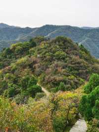 仙台山位於河北省石家莊市井陘縣境內，是國家森林公園，景區面積大，遊覽設施全，景色風光美，有奇缺植被、