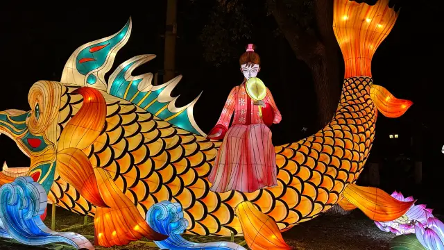 Cried for Nanjing Bailuzhou Qinhuai Lantern Festival is amazing! This feast is not to be missed