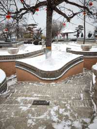 雪後遊陝州地坑院