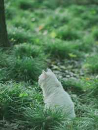 冬季戶外·自由之光·黃興公園