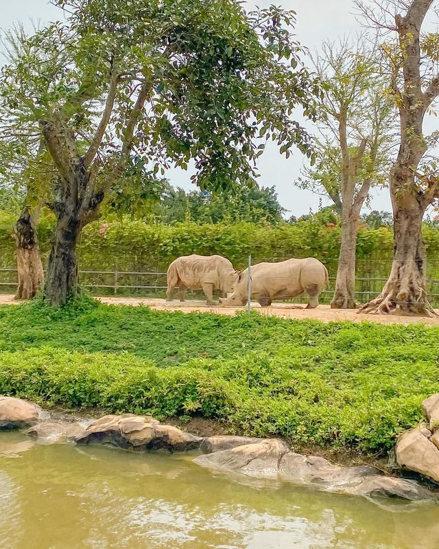 다낭 & 호이안 여행 아이와 가볼만한곳 🐤
남호이안 빈원더스 : 사파리편 🐘🦒