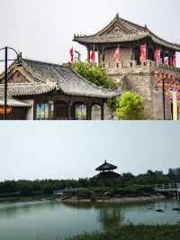 夏津黃河故道森林公園