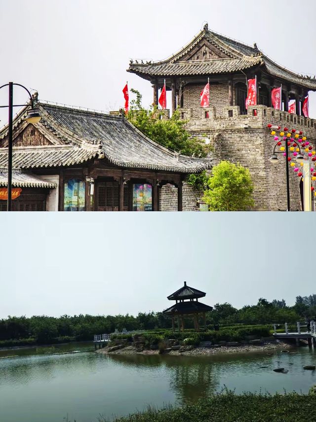 夏津黃河故道森林公園