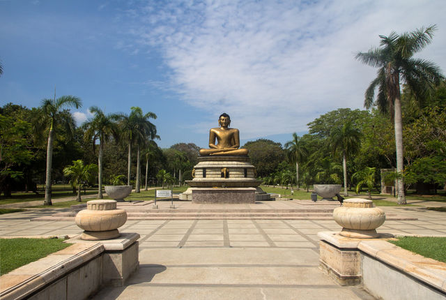 維哈馬哈德維公園