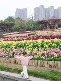 佛山春日賞花好去處，大片花海已開滿山坡