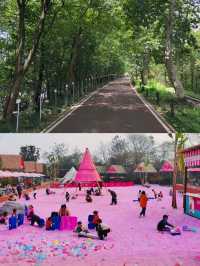 城市短逃離，成都溫江魯家灘濕地公園半日閒