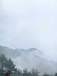 雲瀰漫茶山，安徽小眾景點休寧金龍山雲上茶園裡度假酒店