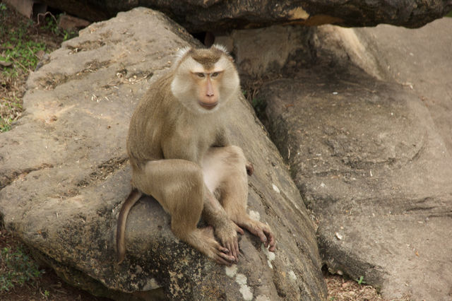 一年至少要來一次的動物園就是他了