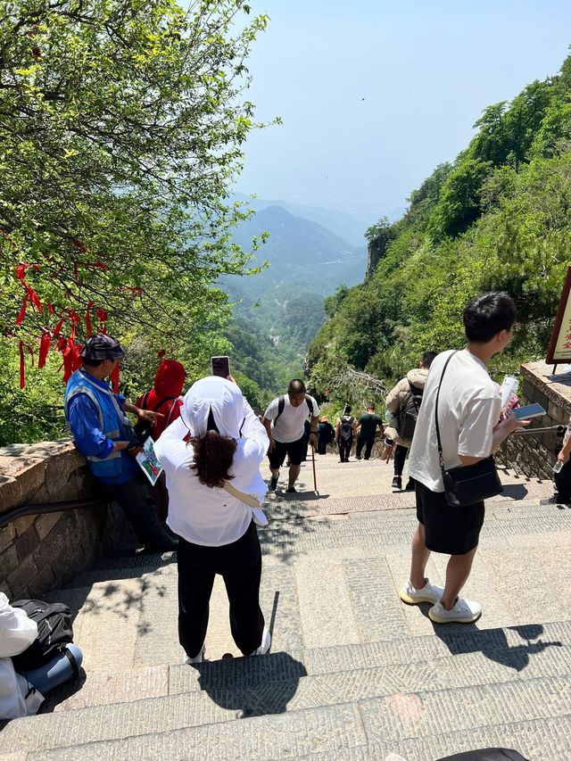 照片不發會過期之輕鬆登頂泰山