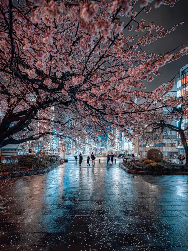 東京夜晚的街道如此迷人