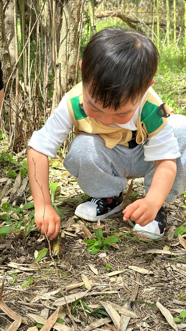 在滬上蕞神秘的莊園挖筍踏青是一種什麼樣的體驗？