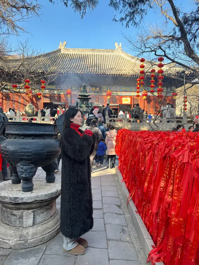 Visit Hongluo Temple for blessings, flower appreciation, and a stroll through the top temple fair of the Dragon Year