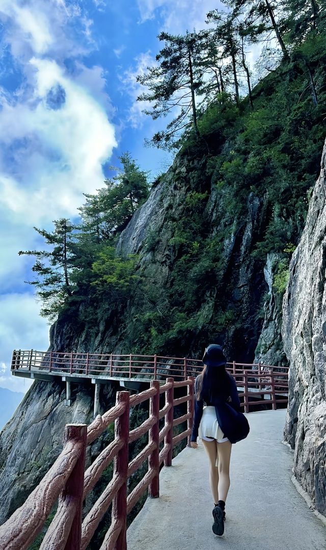 遠赴人間驚鴻宴，登高眺群峰，見自己