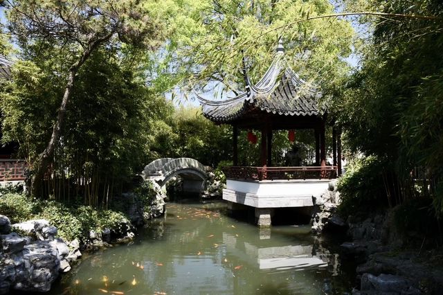 劉姥姥進了大觀園