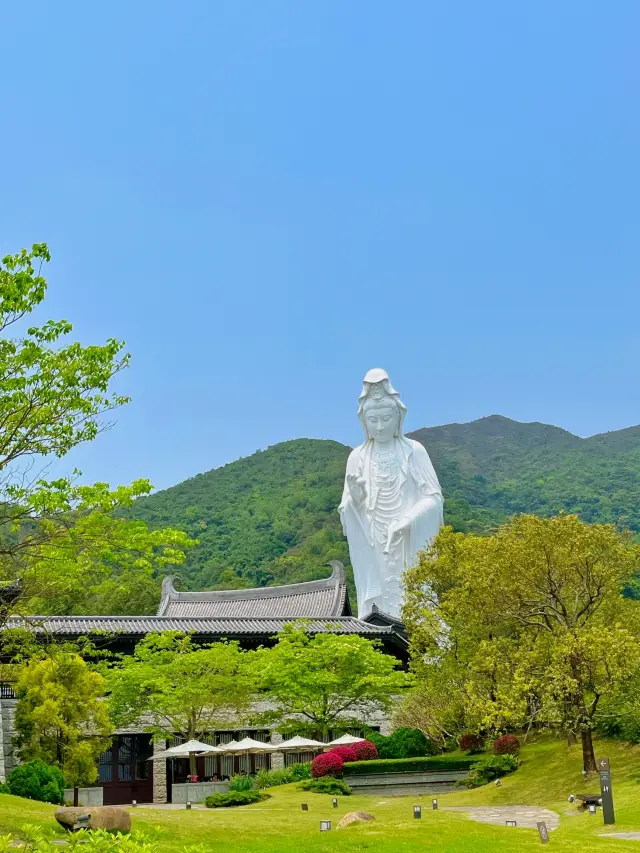 Tsz Shan Monastery Healing in Nature | Everything has a spirit