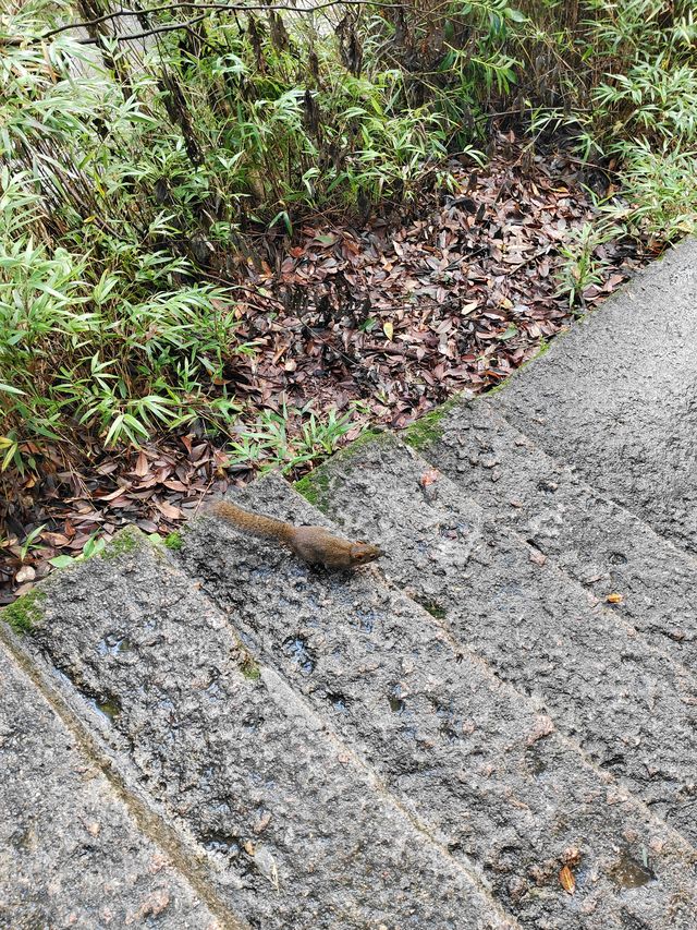 三清山 三清山一定要去一次! 三清山 三清山一定要去一次!