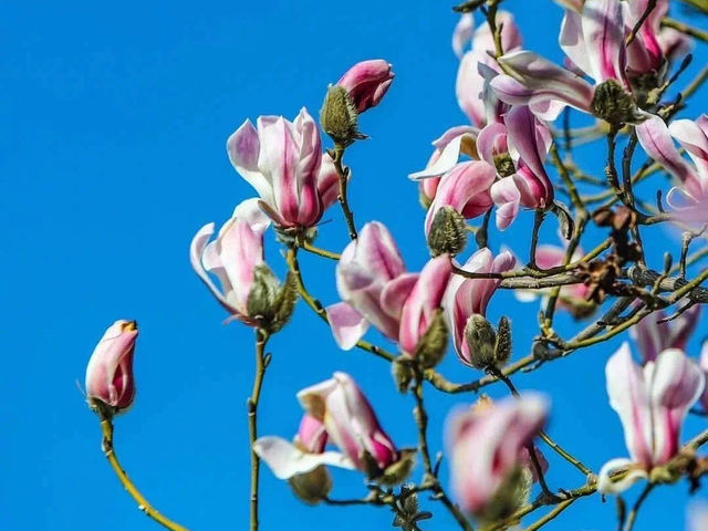 Spring at the National Grand the theater 🎭 