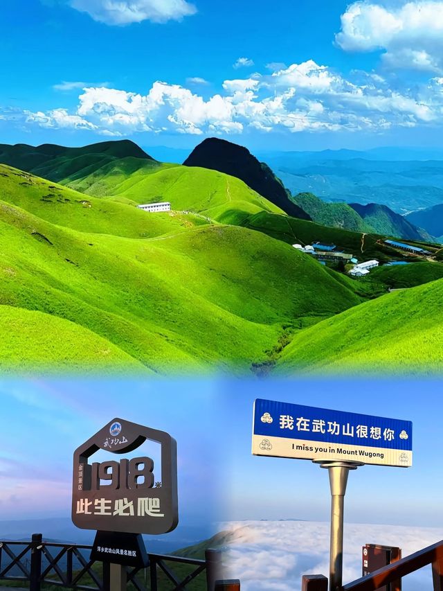 如果想看純綠色的武功山，我建議你5-6月份去