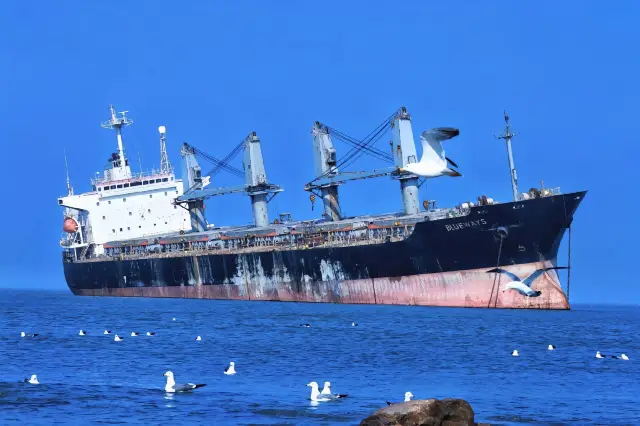 The stranded ship is the Bruise, not the life of you and me