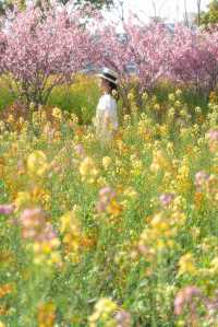 沒錯就在上海市區七彩油菜花美成莫奈花園