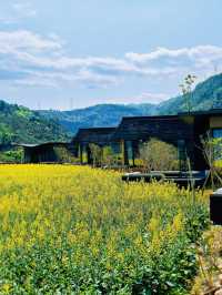 🌴 Fuzhou's Finest: Unmissable Hotel Havens 🏖️🏨