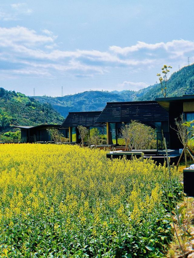 🌴 Fuzhou's Finest: Unmissable Hotel Havens 🏖️🏨