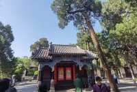 體驗千年儒家文化 | 去山東曲阜孔府